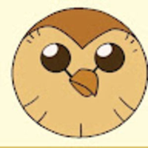 Meet your Posher, Hoot
